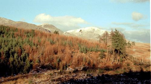 Coniston Old Man from Broughton Moor