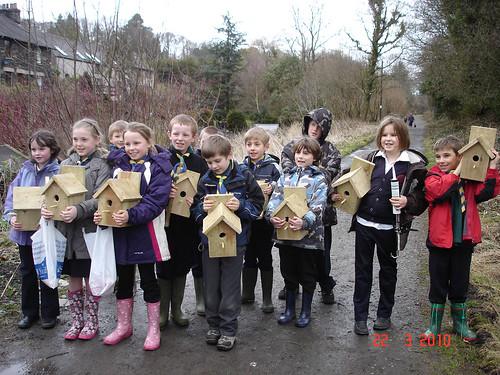 Cubs ready to put up their nest boxes